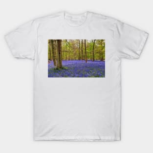 Bluebells Bluebell Woods Greys Court Oxfordshire UK T-Shirt